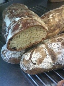 surdegsbrod Surdegsbröd